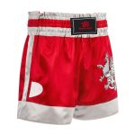 Boxing Shorts